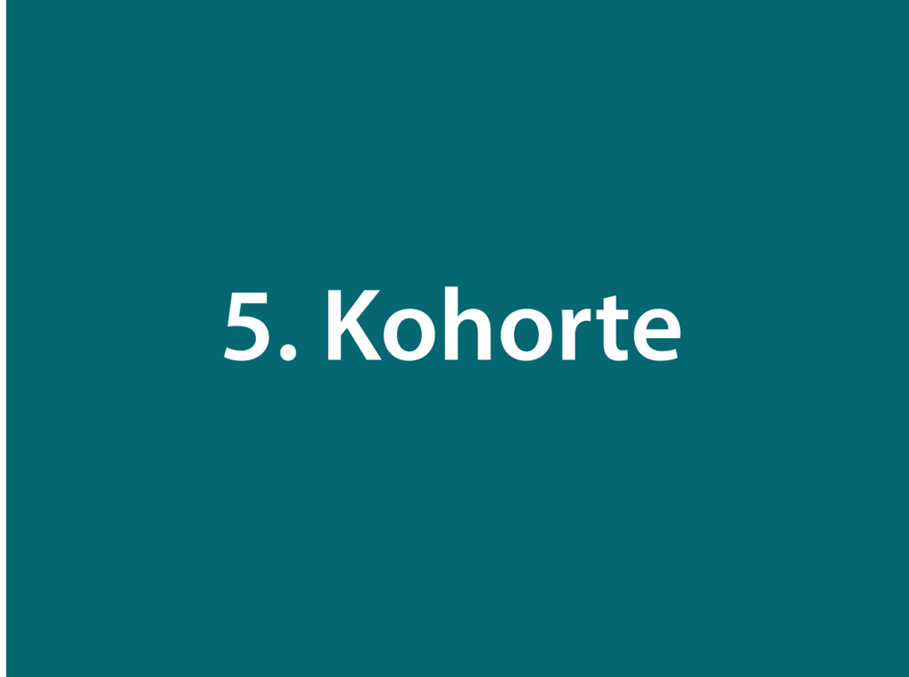 Text "5. Kohorte" auf dunkelgrünem Hintergrund.