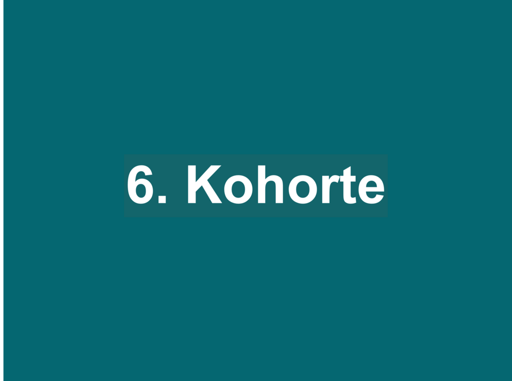 Text "6. Kohorte" auf dunkelgrünem Hintergrund.