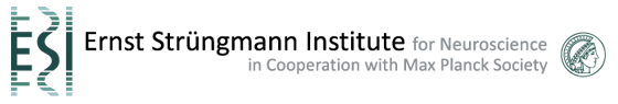 Logo of the Ernst Strüngmann Institute for Neuroscience.