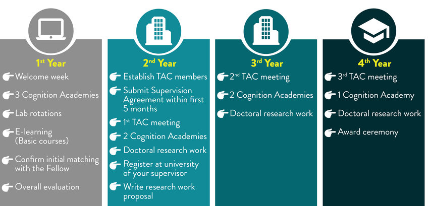 Figure 1. Overview of the four-year doctoral program at the Max Planck School of Cognition