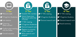 Four-year doctoral program timeline with key activities.