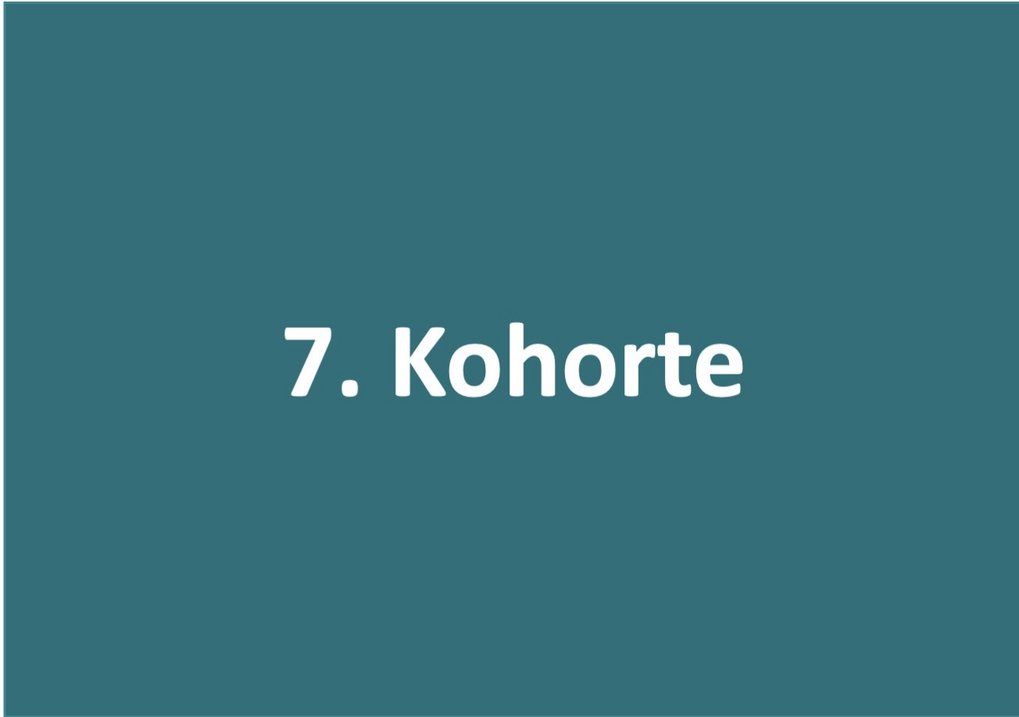 7. Kohorte in weiß auf grünem Hintergrund.