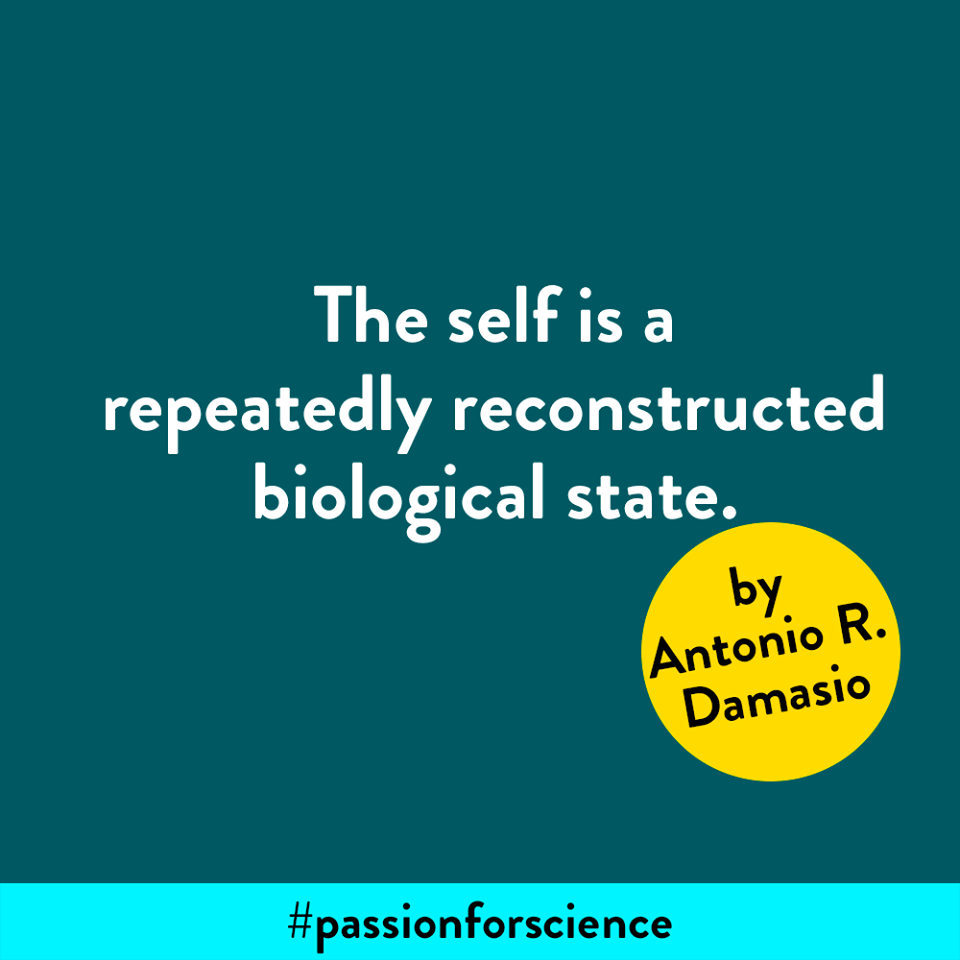 António Damásio...