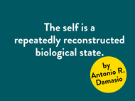 António Damásio...