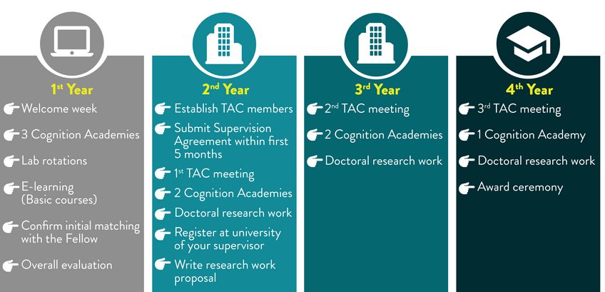 Abbildung 1. Übersicht über das vierjährige DoktorandInnenprogramm an der Max Planck School of Cognition Vierjahreszeitplan für ein Promotionsprogramm mit Akademien und Forschungsarbeiten.