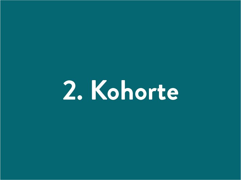 Text "2. Kohorte" auf dunkelgrünem Hintergrund.
