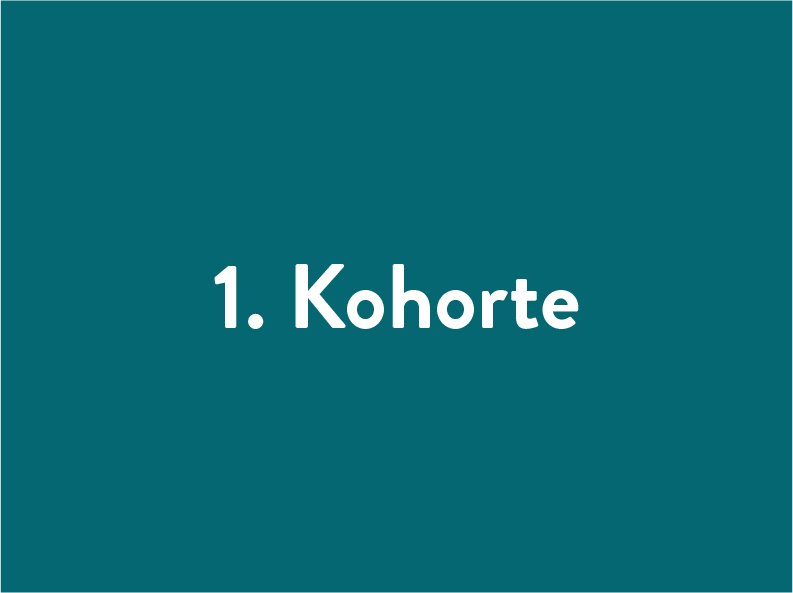Text "1. Kohorte" auf dunkelgrünem Hintergrund.