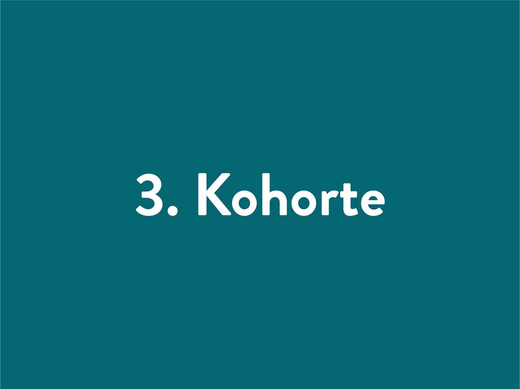 Text "3. Kohorte" auf dunkelgrünem Hintergrund.