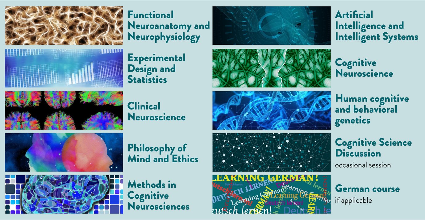 Abstract images illustrate various topics such as neuroanatomy, AI systems, ethics, genetics, and German courses.