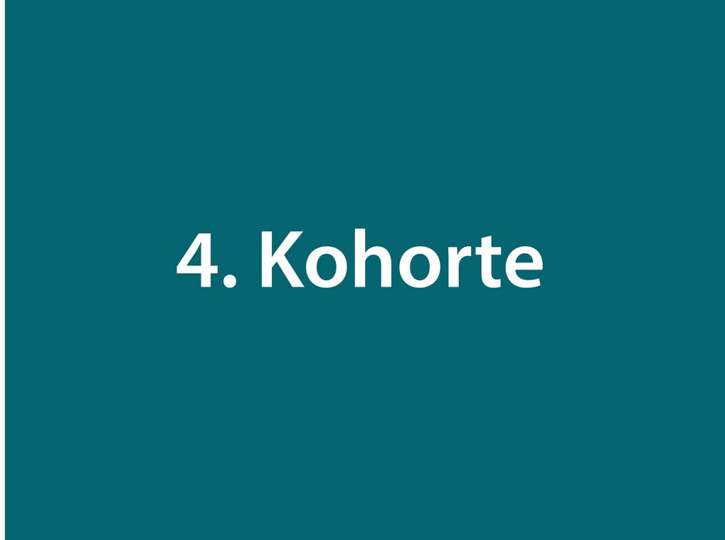 Text "4. Kohorte" auf dunkelgrünem Hintergrund.